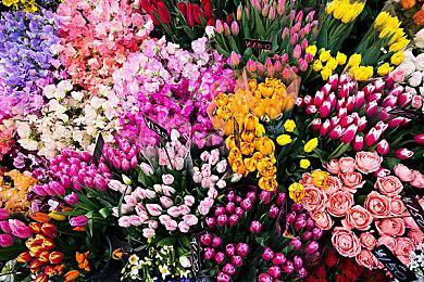 未来游戏春季展：Telltale《苍穹浩瀚》开发者介绍视频